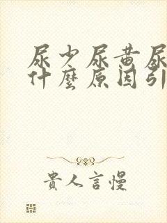 尿少尿黄尿频是什么原因引起的