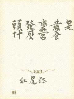 头发变黄是缺少什么营养