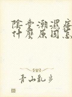 阴囊潮湿瘙痒是什么原因怎么治疗