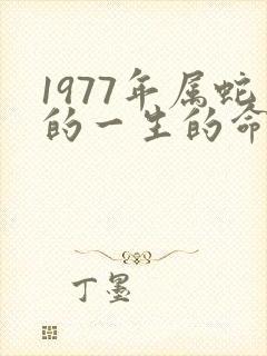 1977年属蛇的一生的命运