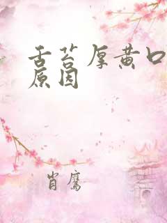 舌苔厚黄口臭的原因