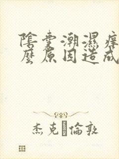 阴囊潮湿痒是什么原因造成的