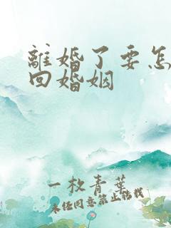 离婚了要怎么挽回婚姻