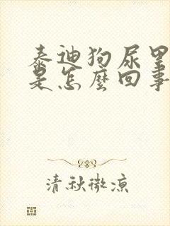 泰迪狗尿里有血是怎么回事