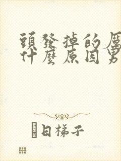 头发掉的厉害是什么原因男人