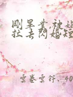 刚毕业,被姐姐拉去闪婚短剧全集播放