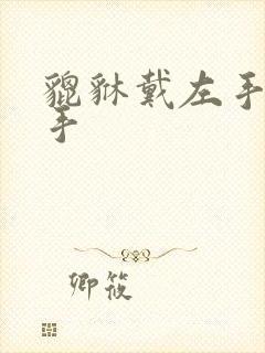 貔貅戴左手带右手