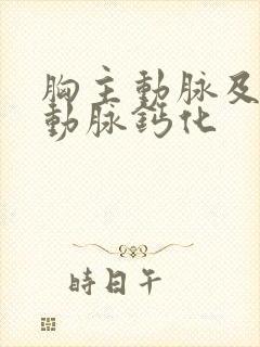 胸主动脉及冠状动脉钙化