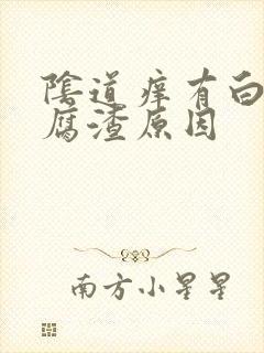 阴道痒有白色豆腐渣原因