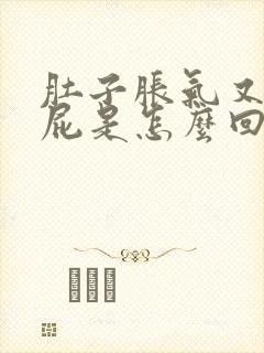 肚子胀气又爱放屁是怎么回事