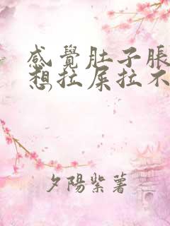 感觉肚子胀胀的想拉屎拉不出来