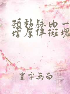 颈动脉内一中膜增厚伴斑块