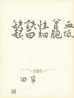 缺铁性贫血会引起白细胞低吗