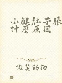 小腿肚子胀气是什么原因