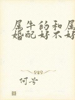 属牛的和属兔的婚配好不好