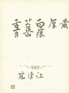 舌苔白厚黄腻且有齿痕