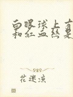 白眼球上有黄斑和红血丝是怎么回事