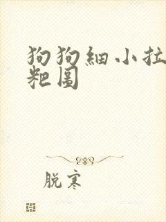 狗狗细小拉的粑粑图