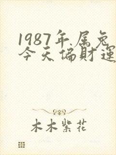 1987年属兔今天偏财运