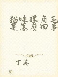 猫咪眼角毛掉了是怎么回事