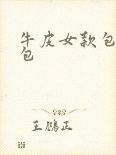 牛皮女款包单肩包