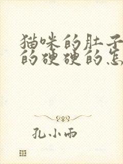 猫咪的肚子鼓鼓的硬硬的怎么了