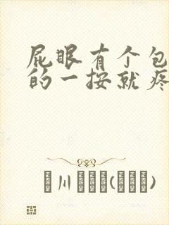 屁眼有个包硬硬的一按就疼怎么办