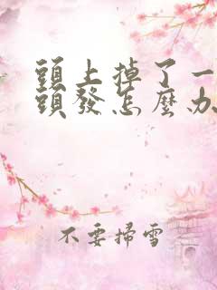 头上掉了一小块头发怎么办