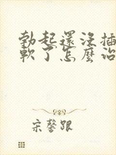 勃起还没插入就软了怎么治疗