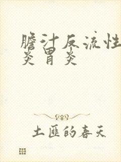 胆汁反流性食管炎胃炎