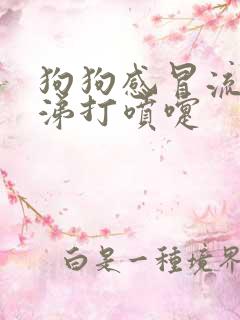 狗狗感冒流黄鼻涕打喷嚏