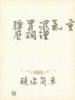 脾胃湿气重的怎么调理