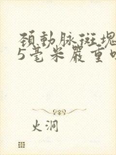 颈动脉斑块1.5毫米严重吗