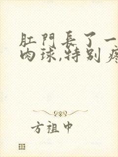 肛门长了一个硬肉球,特别疼