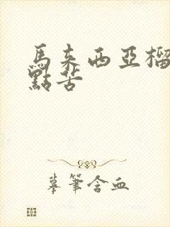 马来西亚榴莲有点苦