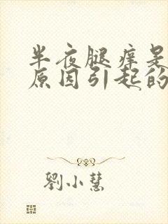 半夜腿痒是什么原因引起的