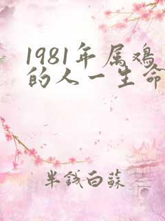 1981年属鸡的人一生命运如何