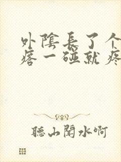 外阴长了个硬疙瘩一碰就疼是怎么回事