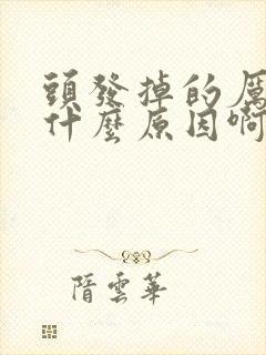 头发掉的厉害是什么原因啊