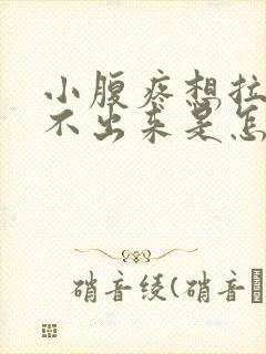 小腹疼想拉屎拉不出来是怎么回事