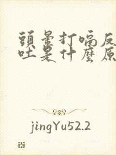 头晕打嗝反胃想吐是什么原因