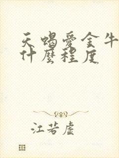 天蝎爱金牛女到什么程度