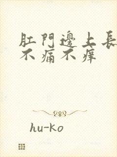 肛门边上长疙瘩不痛不痒