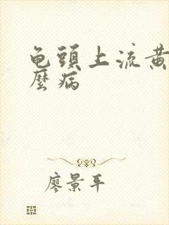 龟头上流黄脓什么病