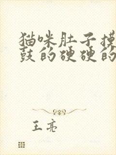 猫咪肚子摸着鼓鼓的硬硬的