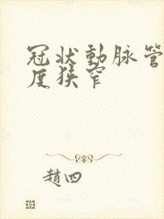 冠状动脉管腔轻度狭窄