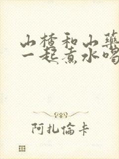 山楂和山药可以一起煮水喝吗