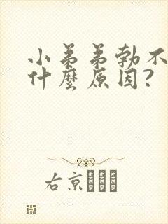 小弟弟勃不起是什么原因?