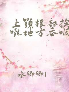 上颚根部挨着喉咙地方吞咽疼