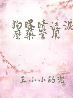 狗眼睛流泪吃什么药管用